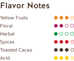 Notas de Sabor (Chocolate Negro México 66%) Flavor Notes (Dark Chocolate Mexico 66%)