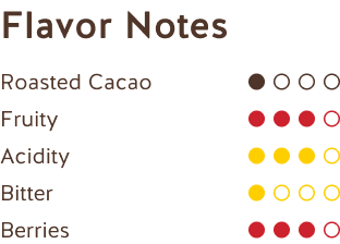 Notas de Sabor (Chocolate Negro Perú 62%) Flavor Notes (Peruvian Dark Chocolate 62%)