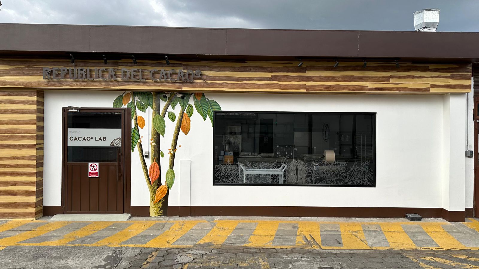 Cacao Talks: ¿Por qué ser una Empresa B? - 1