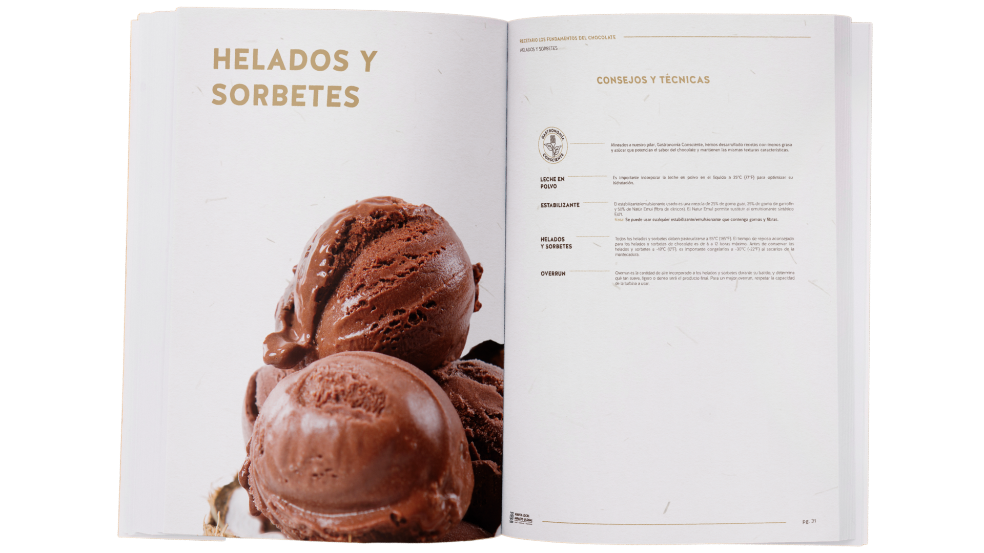 Cacao Talks: ¿Por qué ser una Empresa B? - 1