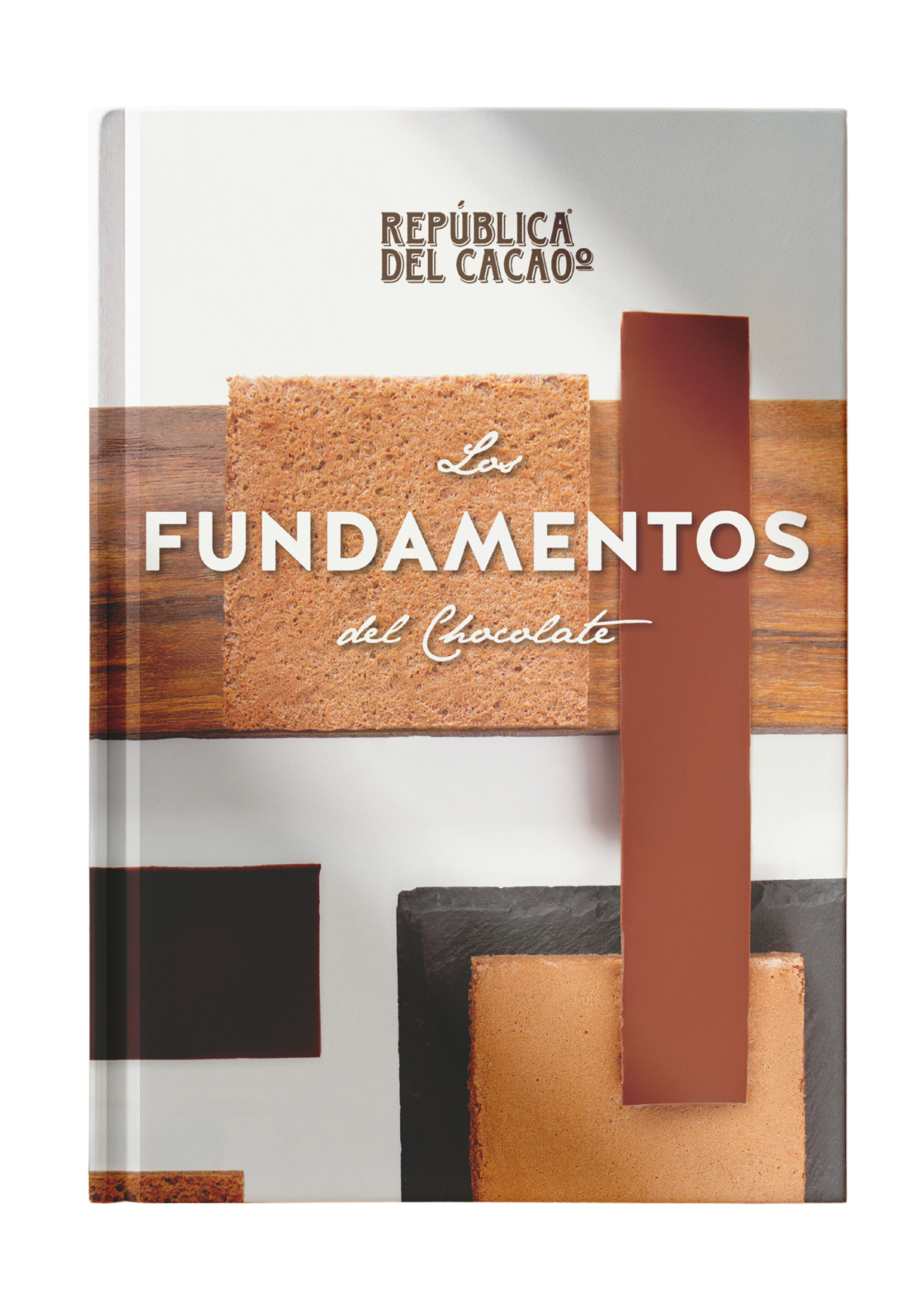 Cacao Talks: ¿Por qué ser una Empresa B? - 1