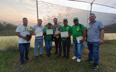 #MesDeEmpresasB: Sustentabilidade na República do Cacau