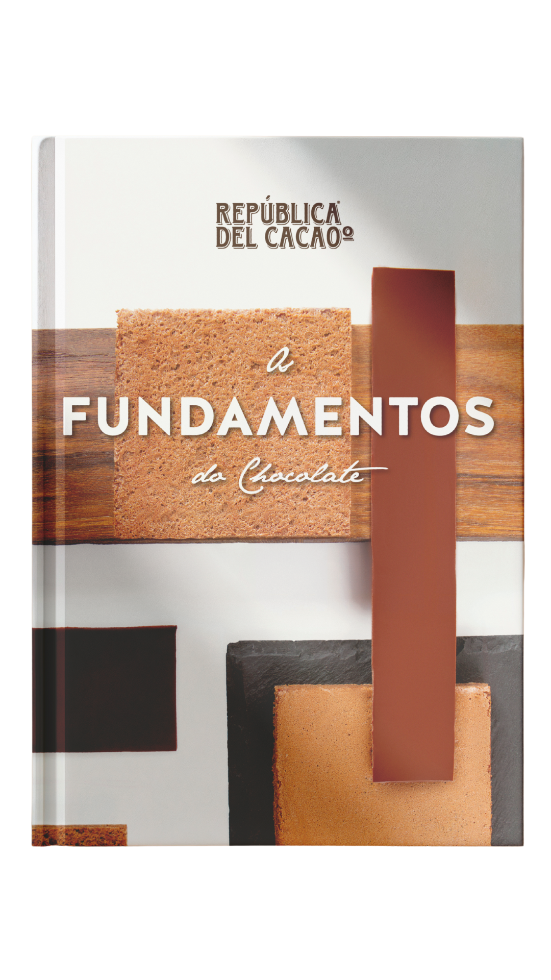 Cacao Talks: Por que ser uma empresa B? - 1