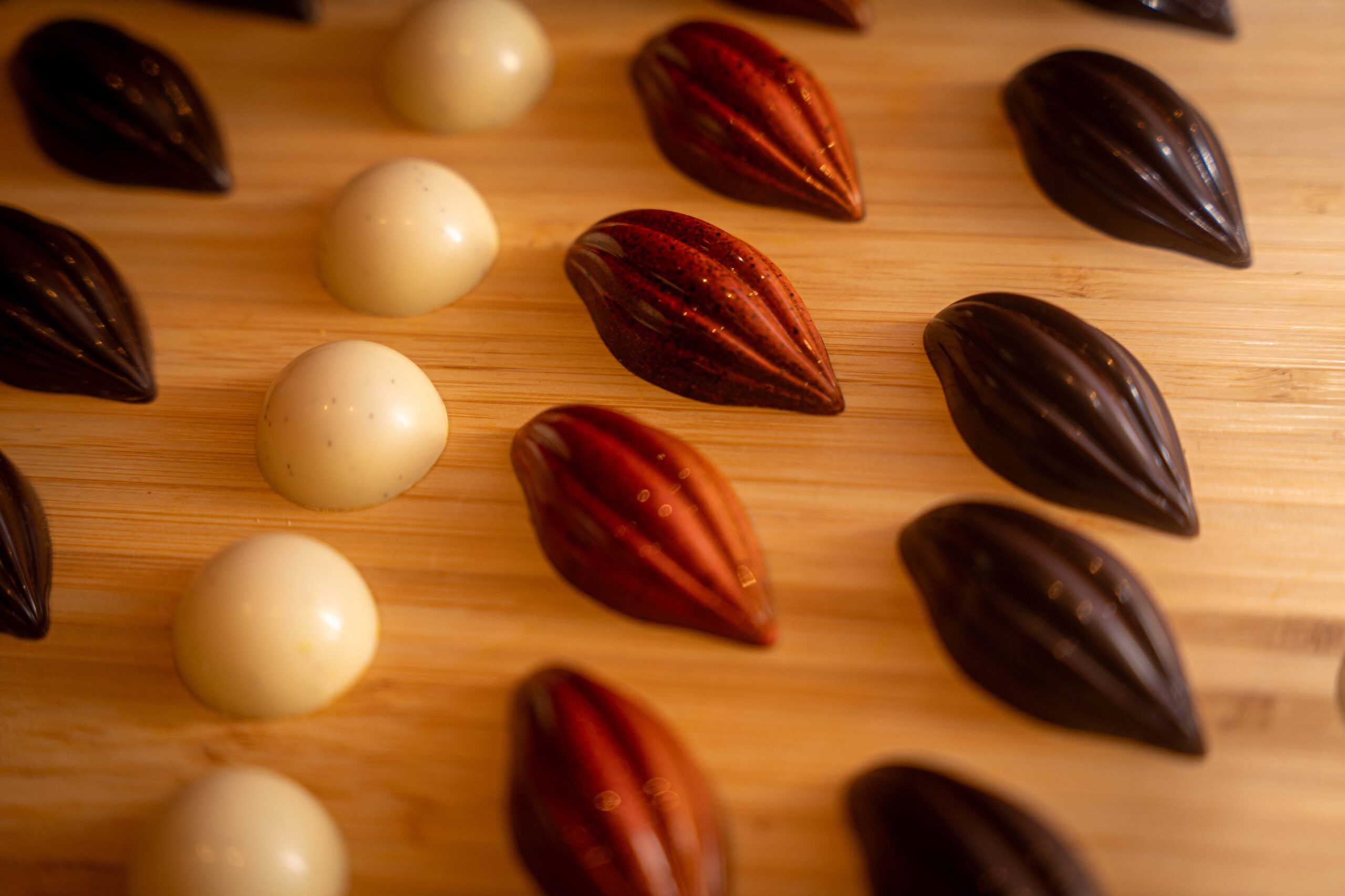 Cacao Talks: ¿Por qué ser una Empresa B? - 2