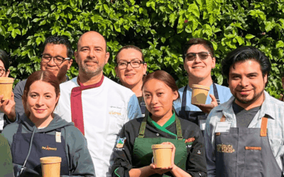 Alfonso Jarero: Sorbetto y Gelato – México 2025