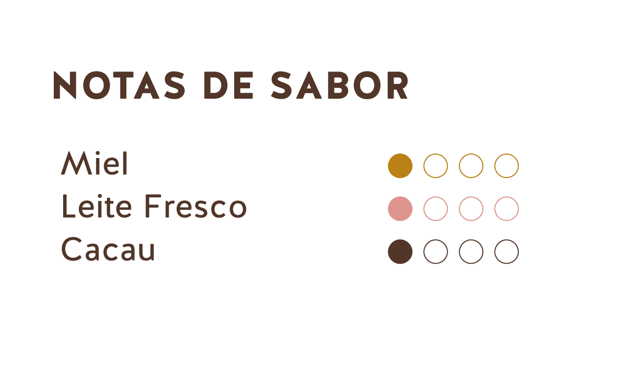 Notas de Sabor (Chocolate ao Leite do Equador + Peru 35%)