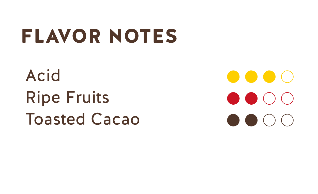 Tasting Notes (Dominican Republic Dark Chocolate 62%)