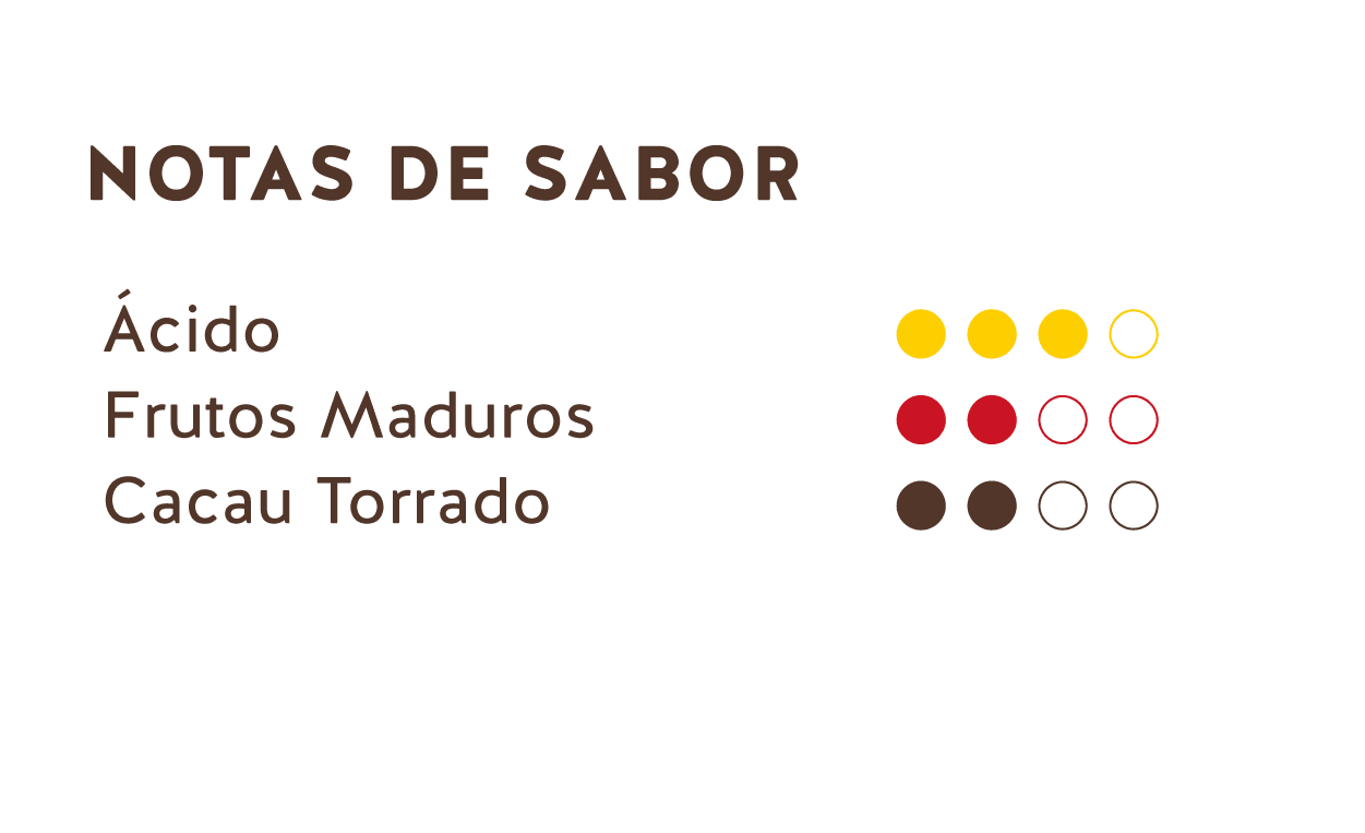 Notas de Sabor (Chocolate Amargo da República Dominicana 62%)