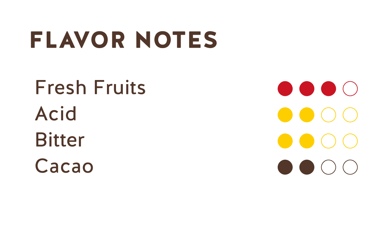 Tasting Notes (Ecuador + Peru Dark Chocolate 70%)