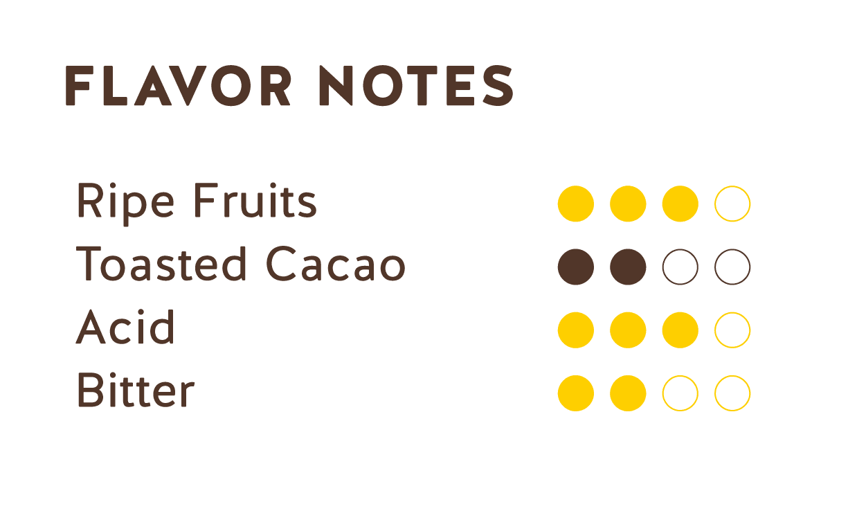 Tasting Notes (Ecuador + Dominican Republic Dark Chocolate 70%)